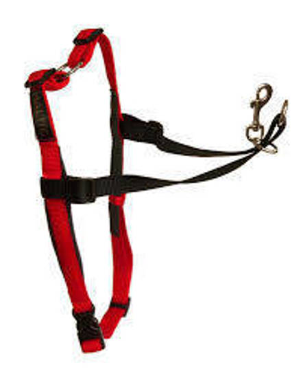 Picture of Halti Dog Control Harness - Small