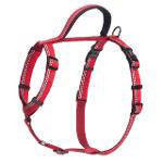 Picture of Halti Walk Harness Red - Medium